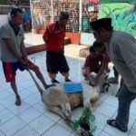 76456806-A4D1-4286-9188-7AC9FEB5287D