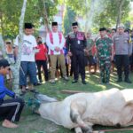 90573EA7-6CBD-4226-9313-72B731352ED5