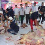 CDF096AE-3389-4A4D-B6EC-46F21FE82A49