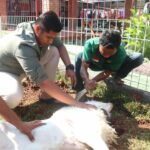 F8C250F5-24F8-4517-8413-76B88491C893