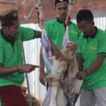 WhatsApp Image 2022-07-10 at 19.08.58