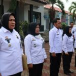 WhatsApp Image 2023-11-22 at 16.55.11