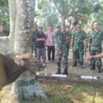 Gambar WhatsApp 2024-06-04 pukul 15.02.33_68dcdd65