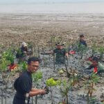 Gambar WhatsApp 2024-08-03 pukul 19.26.02_9d8cbbd1