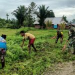 Gambar-WhatsApp-2024-08-05-pukul-20.02.53_367bb1ff-800x445