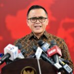 WhatsApp Image 2024-08-17 at 11.47.14