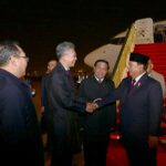 20241108-tibachina-1536x1024