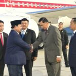 WhatsApp Image 2024-11-25 at 13.45.23