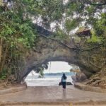 20190418_122628-01_1 (1)