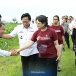 61a46cb0-ddaf-4a44-9bb1-52ea46d61328