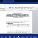 WhatsApp Image 2025-11-13 at 08.33.32