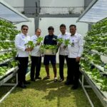 WhatsApp Image 2025-11-20 at 17.08.43