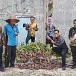 WhatsApp Image 2025-11-24 at 20.08.29_798ae4bd