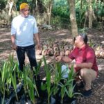 WhatsApp Image 2025-11-26 at 13.25.12