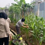 WhatsApp Image 2025-12-06 at 11.32.37 (2)