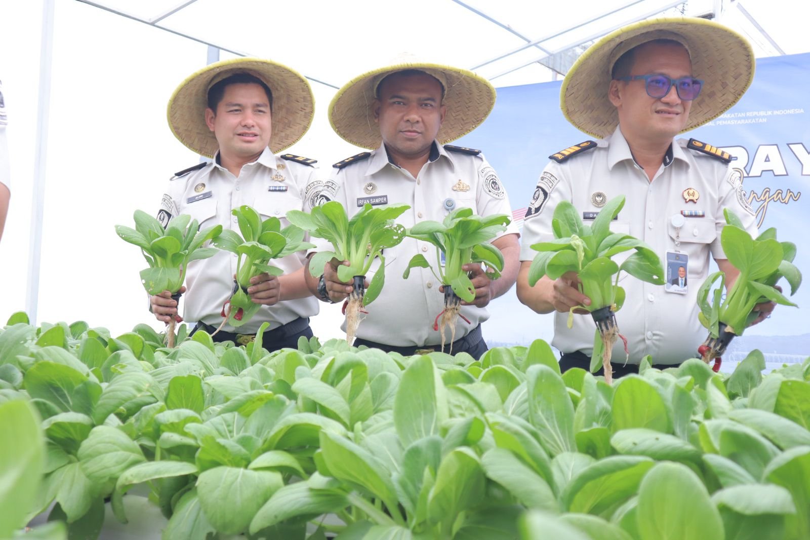 Panen Raya Serentak, Lapas Kelas I Tangerang Tegaskan Peran Pemasyarakatan Dukung Ketahanan Pangan