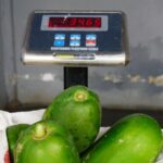 WhatsApp Image 2026-01-03 at 12.04.40 (2)