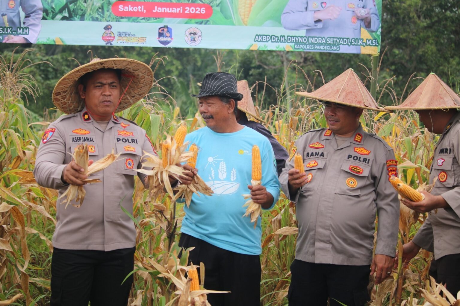 Polres Pandeglang Gelar Panen Raya Jagung Kuartal IV Tahun 2025 di Kecamatan Saketi