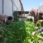 WhatsApp Image 2026-01-08 at 15.51.23 (1)