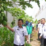 WhatsApp Image 2026-01-13 at 17.36.16