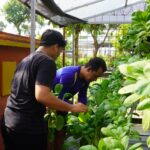 WhatsApp Image 2026-01-19 at 12.41.38 (2)