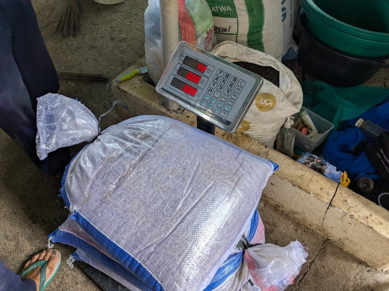 Panen Maggot Lapas Kelas IIA Purwokerto Dukung Ketahanan Pangan dan Pengelolaan Sampah Terpadu