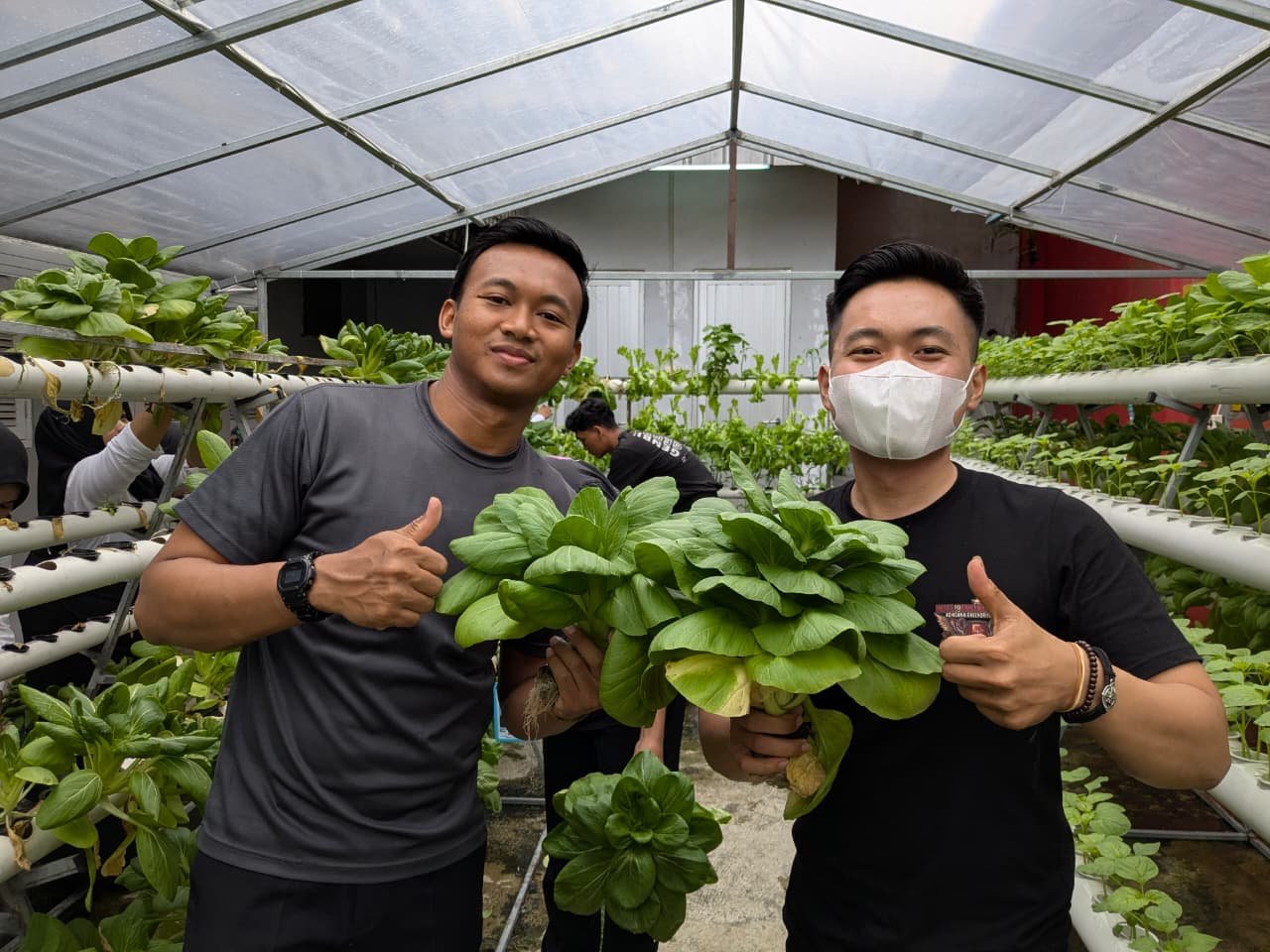 Lapas Kelas IIA Purwokerto Panen Pakcoy Hidroponik, Wujudkan Pembinaan Kemandirian dan Ketahanan Pangan