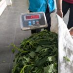 WhatsApp Image 2026-02-28 at 15.36.44 (2)