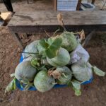 WhatsApp Image 2026-03-07 at 14.05.49 (1)